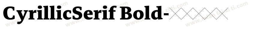 CyrillicSerif Bold字体转换